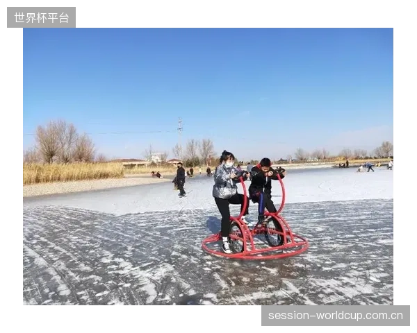 多数滑雪App在分享用户滑行视频时，并未对后台同步的包含精确地理位置的MEMS数据进行有效脱敏，存在隐私泄露风险